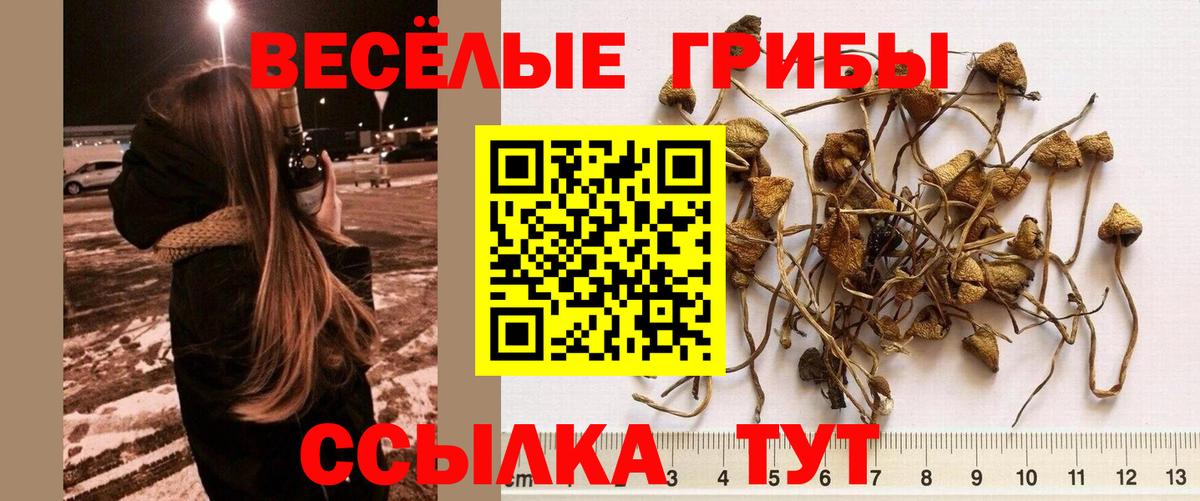 Псилоцибиновые грибы мухоморы  закладка  Лениногорск  Вход с VPN 