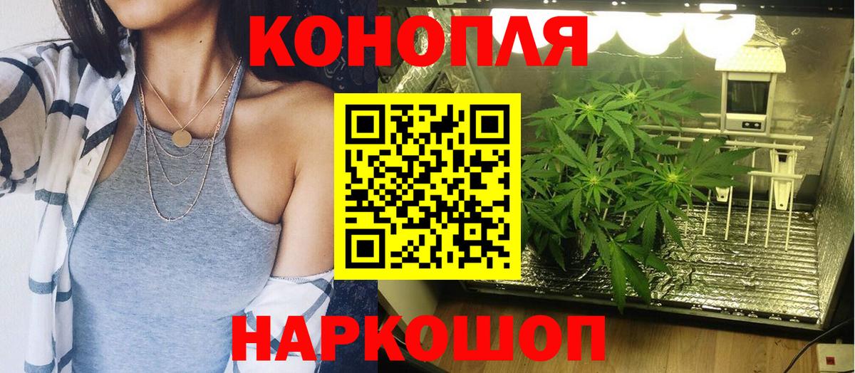 Бошки Шишки гибрид Лениногорск